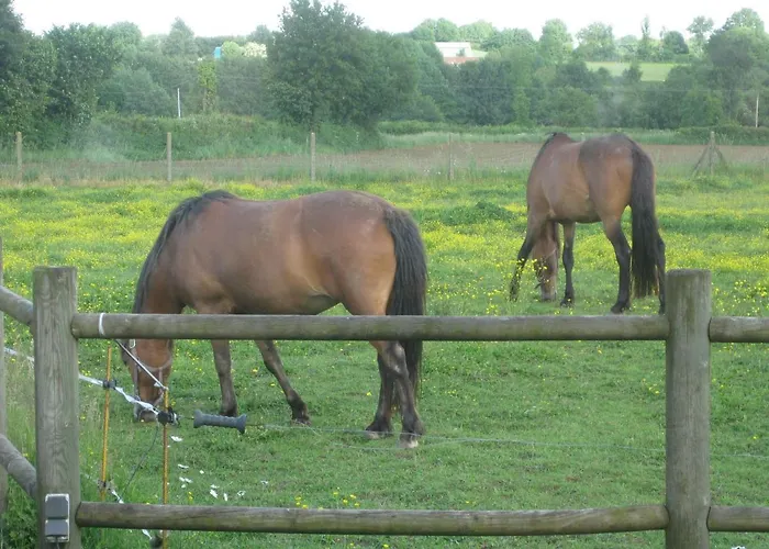 Holiday home Les Croisettes Le Pin (Deux-Sevres)